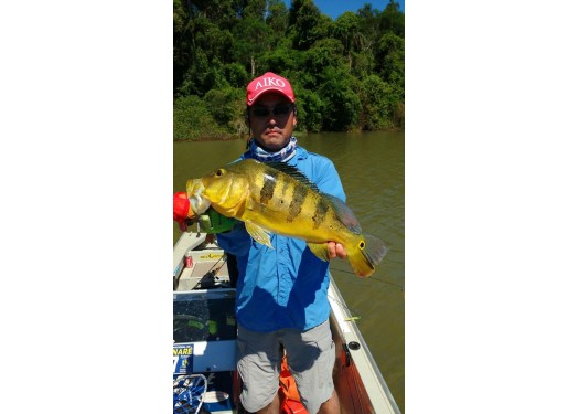 Pescaria de Tucunarés no Lago de Itaipu