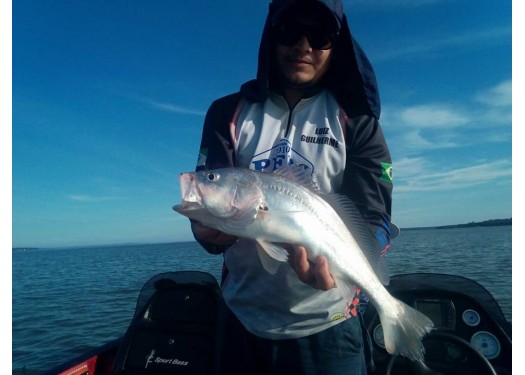 Pescaria de Corvinas no Lago de Itaipu